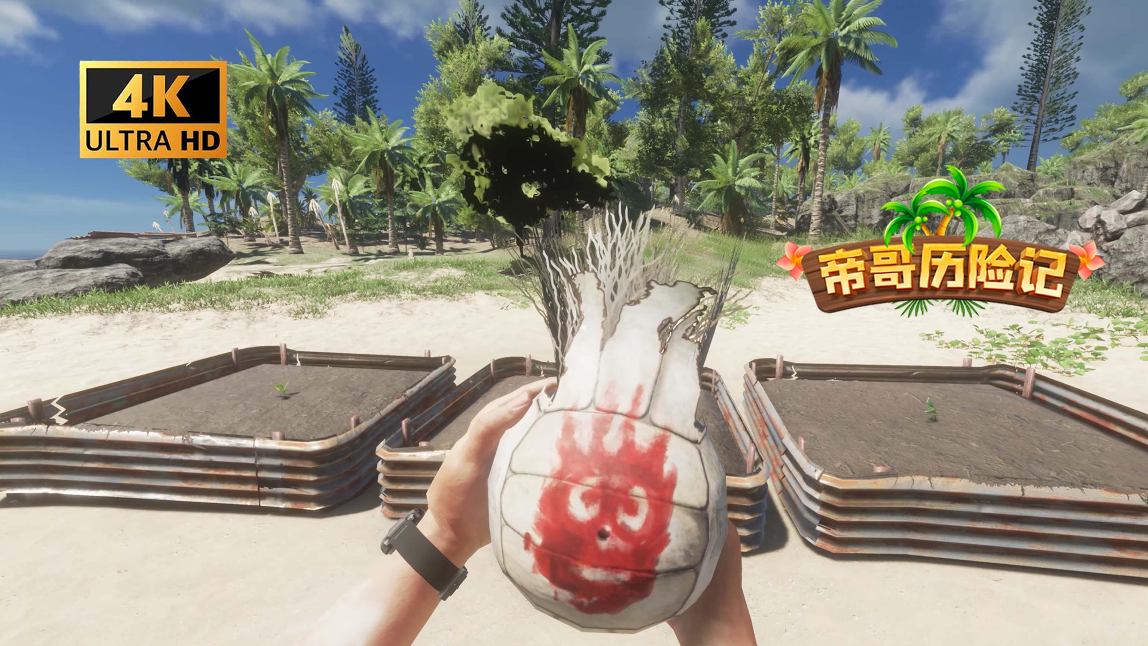 开云APP下载-大型野外生存竞技，挑战荒野生存技能