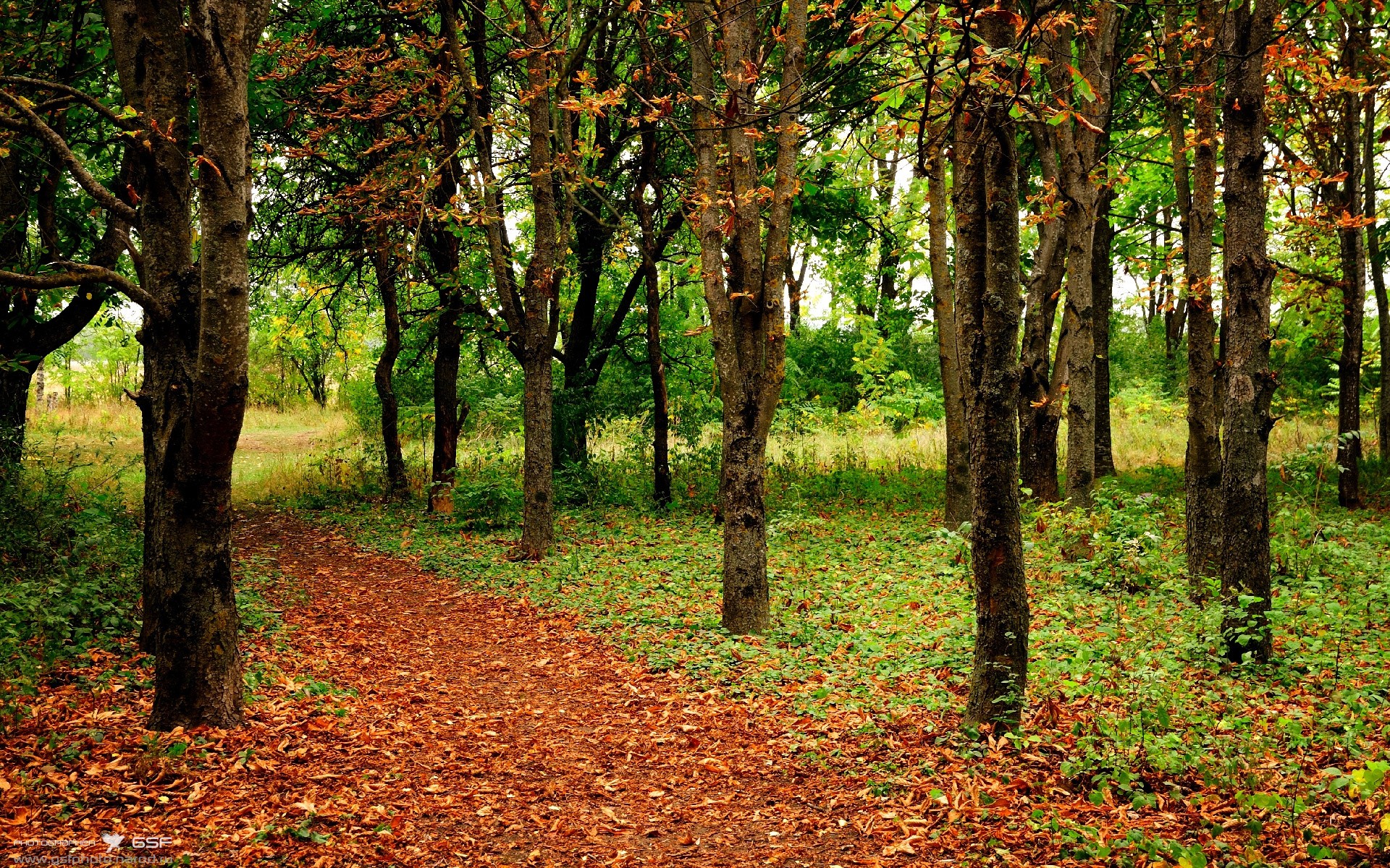 AC米兰主场战平热那亚，雷比奇突破射门，ac米兰和热那亚