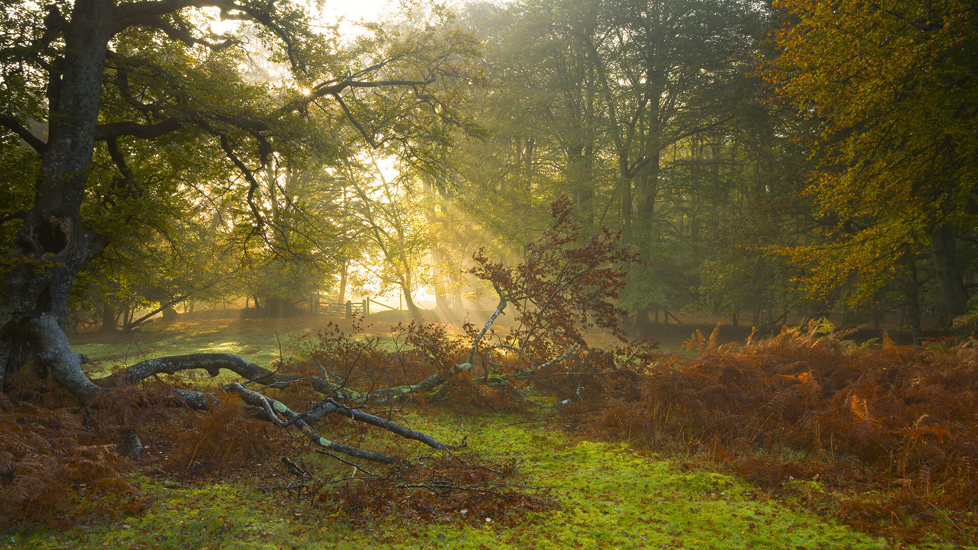开云体育下载APP-IG选手参与“电子竞技反兴奋剂”课程