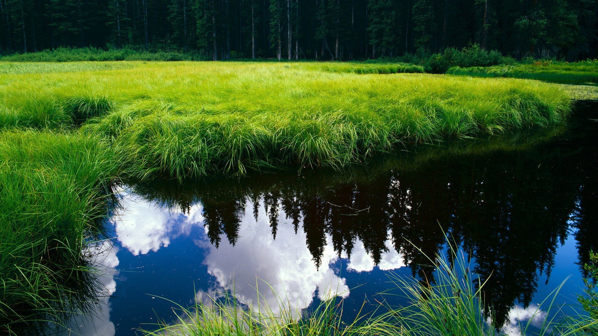 开云体育APP下载-体育赛事激情四射，令人沉浸其中，体育竞技比赛视频