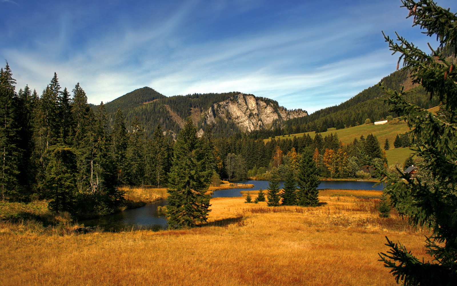 体育学科交叉融合研究的现状与挑战,体育学科交叉融合研究的现状与挑战论文