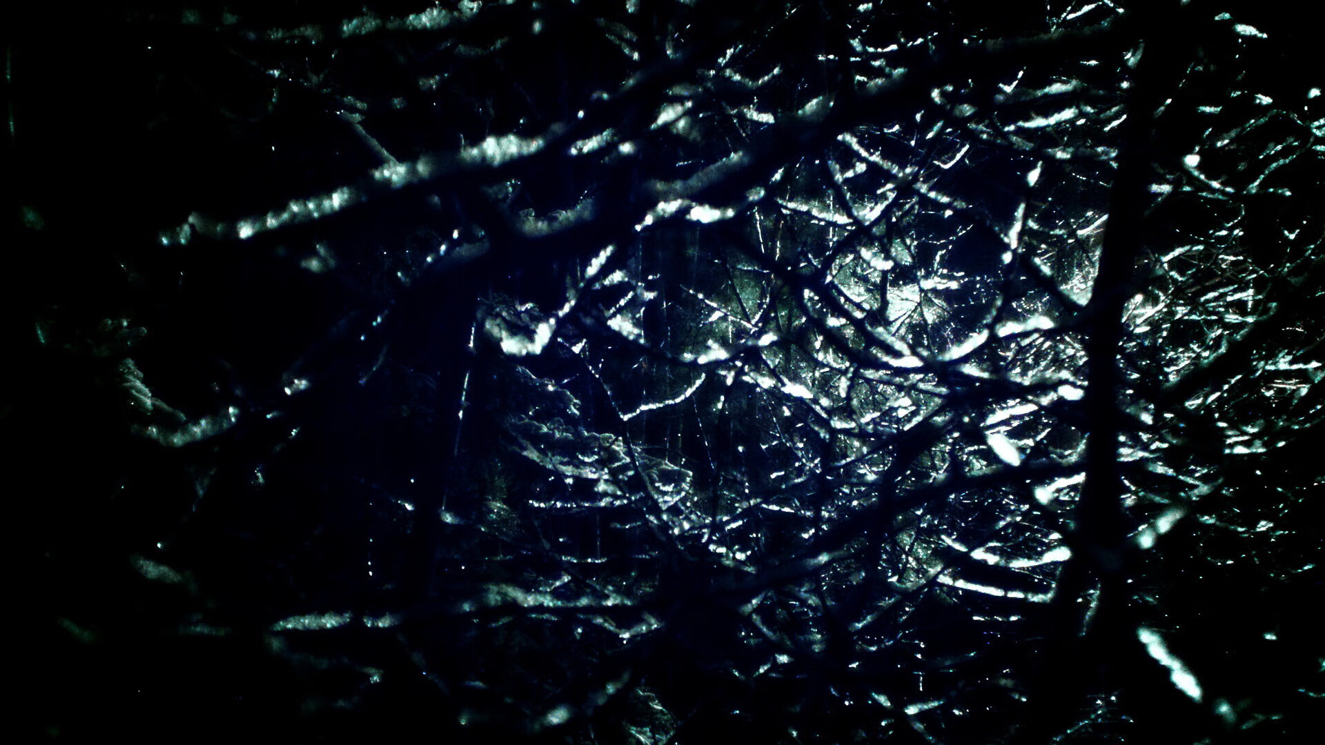 “飞盘竞技：三叉湖田径场为选手提供极速与精准的竞技舞台”