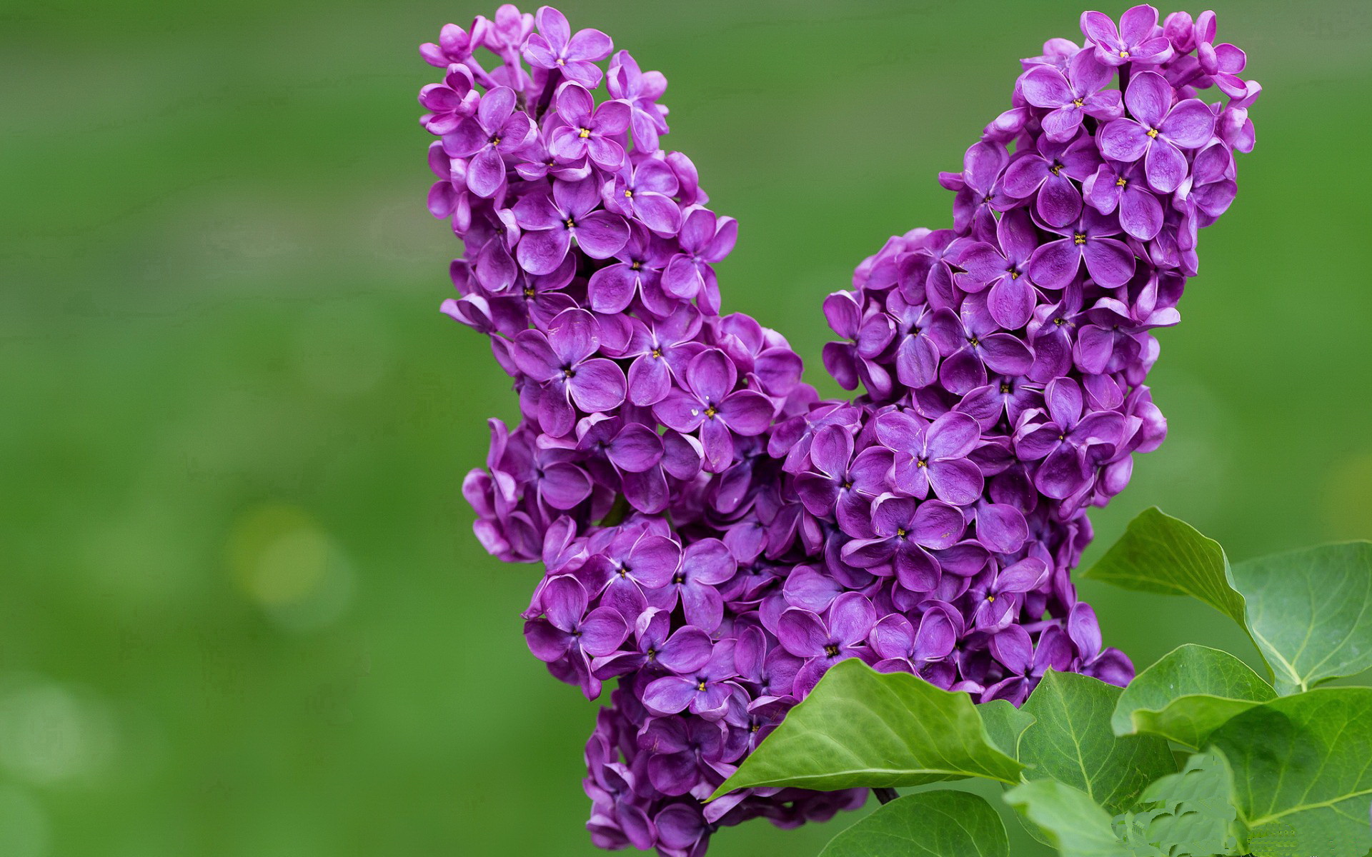中立B男队在冲刺段更具攻击性，中立球员