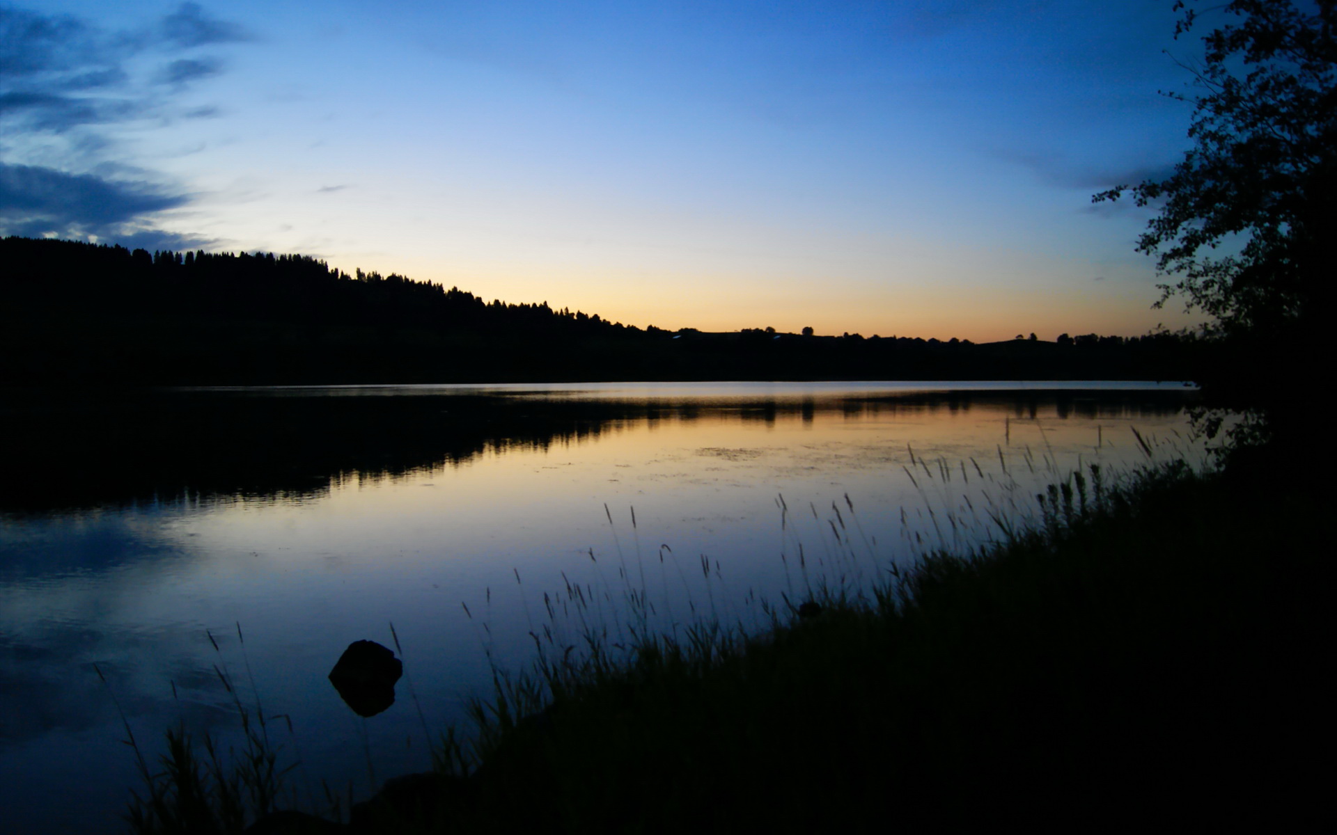 球迷文化日益成熟CBA赛场气氛逐步回暖，cba篮球文