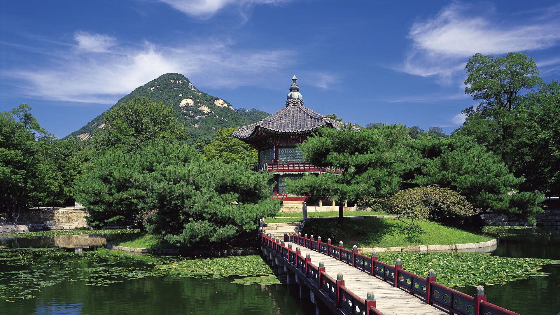 开云体育入口-媒体联动提升赛事传播力，媒体联动式报道