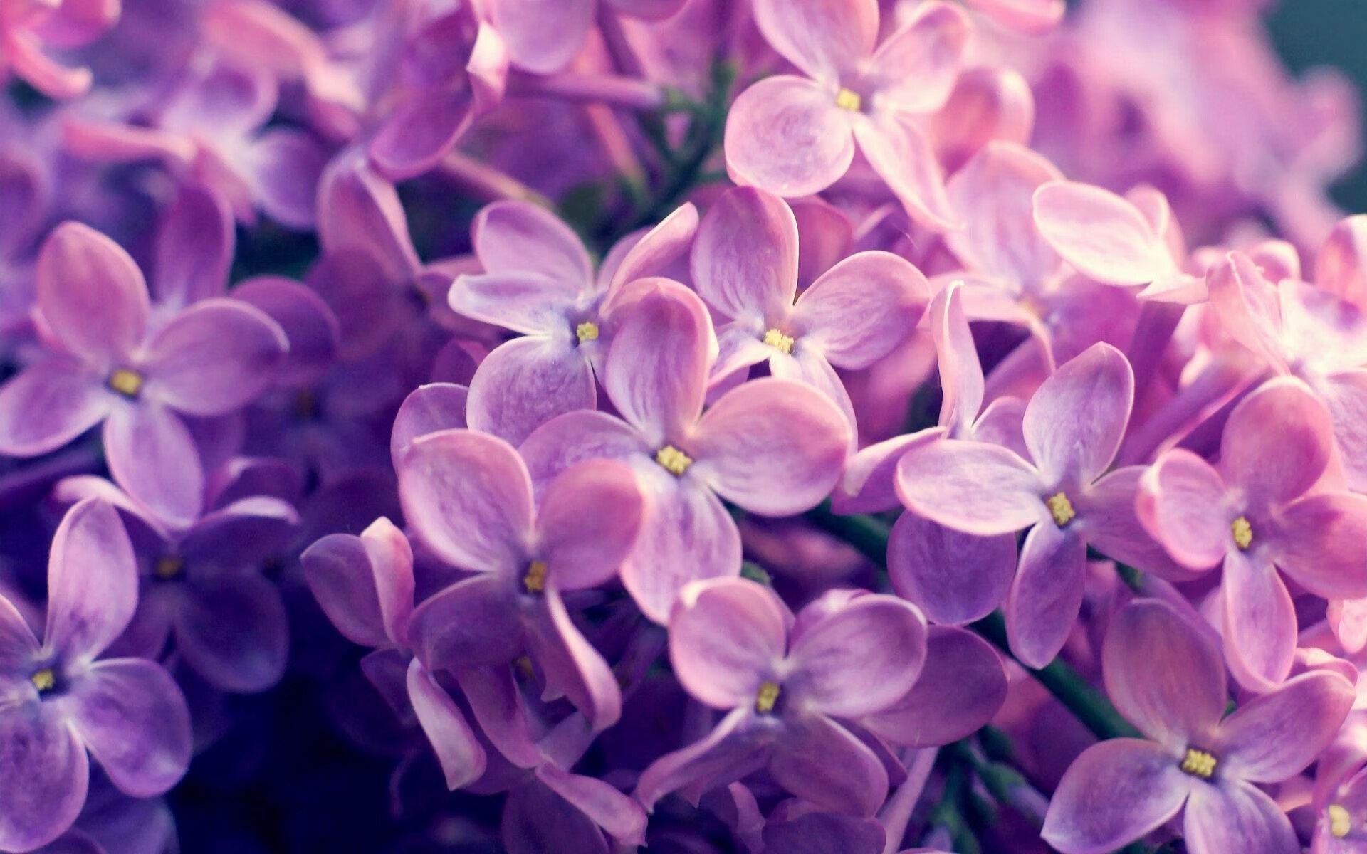 开云体育手机版-西甲绝美吊射：穿越防线的绝世佳作，西甲精彩集锦