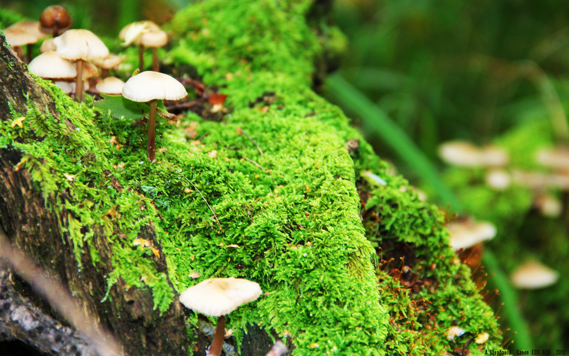 青训中心建立球员成长档案系统便于长期观察,青训队足球